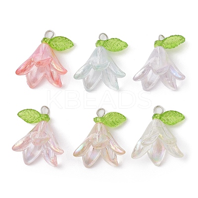 6Pcs Transparent Acrylic Pendants PALLOY-JF02300-02-1