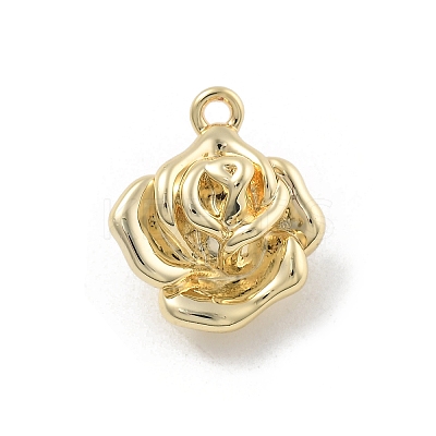 Brass Pendants KK-D283-08G-1