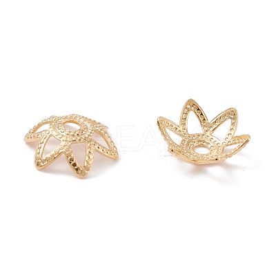 Brass 6-Petal Bead Caps KK-K253-20G-1