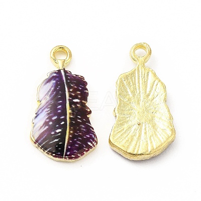 Rack Plating Alloy Pendants FIND-H043-04LG-06-1