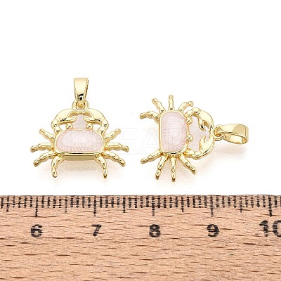 Brass Enamel Pendants KK-T075-93B-G-1