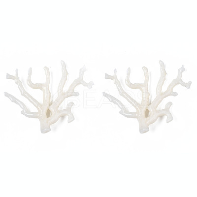 Acrylic Big Pendants OACR-N131-010B-B02-1
