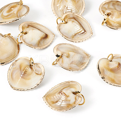 10Pcs Natural Shell Pendants PALLOY-TAC0204-1