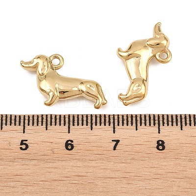 304 Stainless Steel Pendants STAS-L022-590G-1