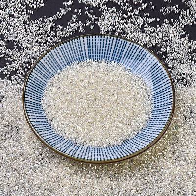 MIYUKI Delica Beads X-SEED-J020-DB0109-1
