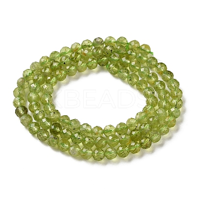 Natural Peridot Beads Strands G-Z150-A01-4mm-1