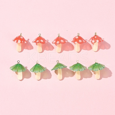 10Pcs 2 Colors Plastic Pendants KY-FS0001-34A-1