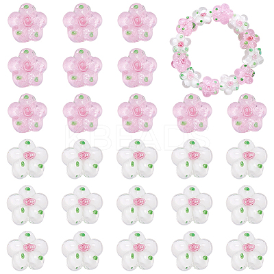 30Pcs 2 Colors Handmade Lampwork Beads LAMP-WR0001-06-1