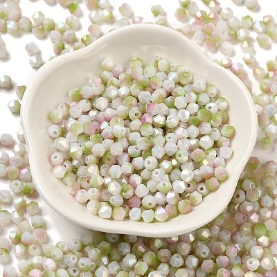Two Tone Baking Paint Glass Seed Beads SEED-C004-03B-1
