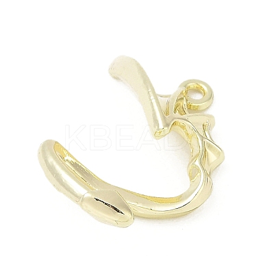 Alloy Pendants PALLOY-R151-14G-1