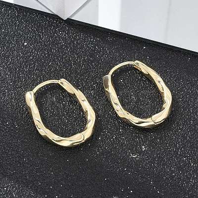 Brass Twist Hoop Earrings EJEW-Q014-02G-1