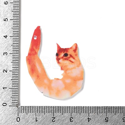 Opaque Printed Acrylic Pendants SACR-F017-03-1
