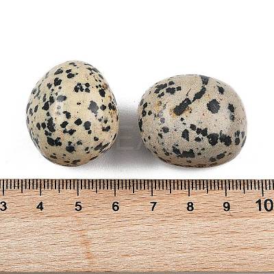 Natural Dalmatian Beads G-G348-01B-48-1