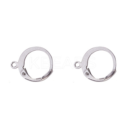 Tarnish Resistant 316L Surgical Stainless Steel Leverback Earring Findings STAS-F075-38P-1