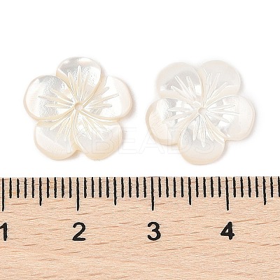 Natural White Shell Carved Beads SSHEL-I026-12F-07-1