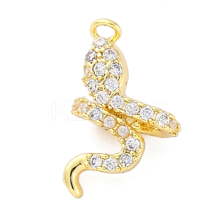 Brass Micro Pave Cubic Zirconia Charms KK-A240-17G-1