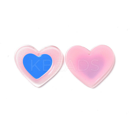 Acrylic Pendants FIND-A022-04C-1