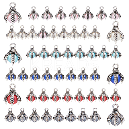 48Pcs 6 Color Tibetan Style Alloy Charms FIND-SC0002-12-1