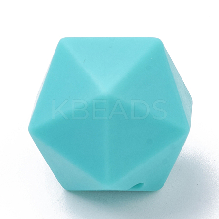 Food Grade Eco-Friendly Silicone Beads X-SIL-T048-17mm-06-1