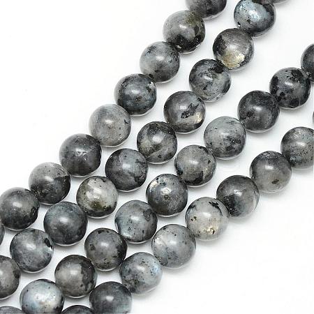 Natural Larvikite Beads Strands G-R345-4mm-33-1