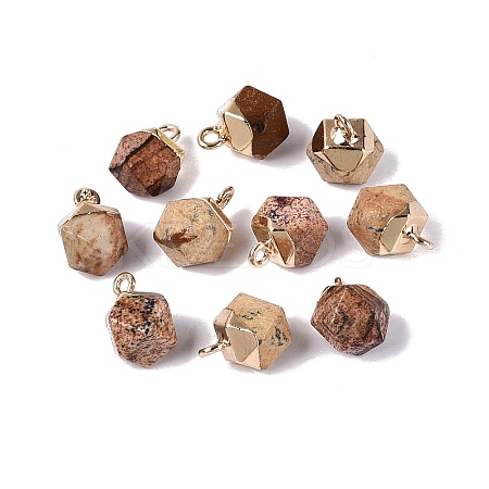 Natural Picture Jasper Pendants G-N359-18G-13-1