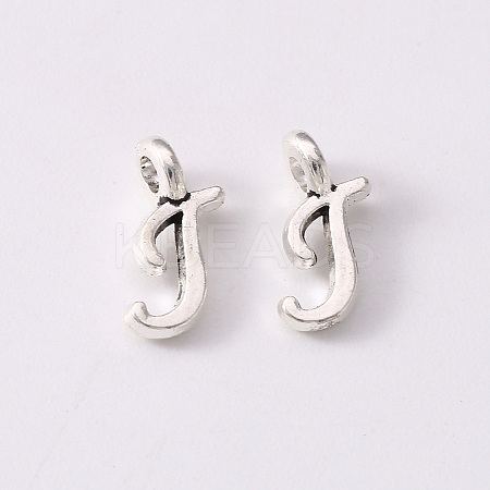 Tibetan Style Alloy Charms TIBEP-R361-01T-AS-RS-1