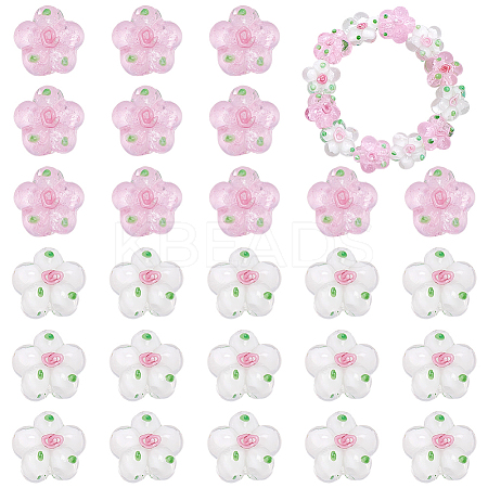 30Pcs 2 Colors Handmade Lampwork Beads LAMP-WR0001-06-1