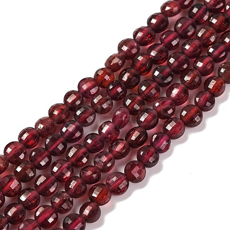 Natural Garnet Beads Strands G-F770-B02-01-1