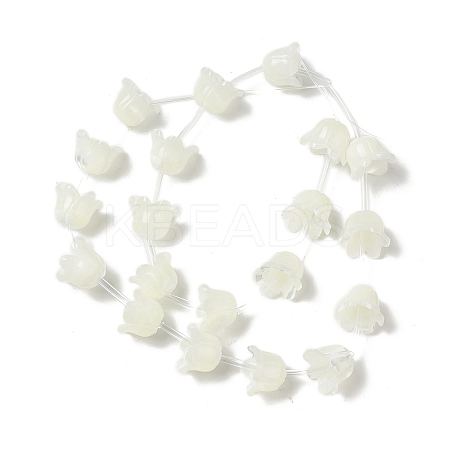 Natural Trochid Shell/Trochus Shell Bead Caps BSHE-B005-03-1