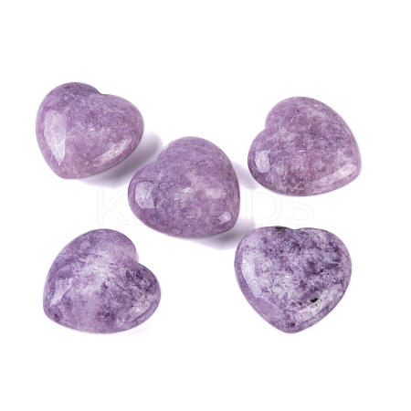 Natural Lepidolite Healing Stones G-G020-01Y-1