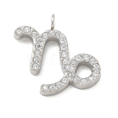 304 Stainless Steel Micro Pave Cubic Zirconia Charms STAS-Z107-09P-12-1
