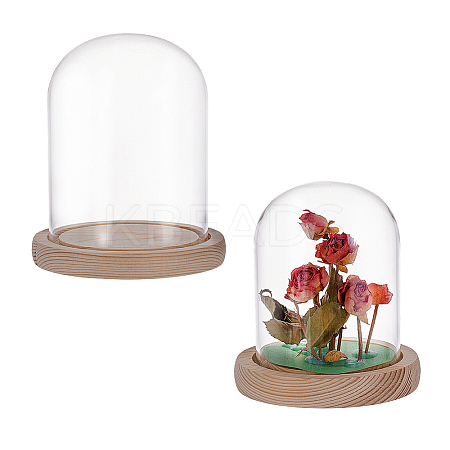 2Pcs 2 Styles Glass Dome Cover AJEW-NB0007-93-1