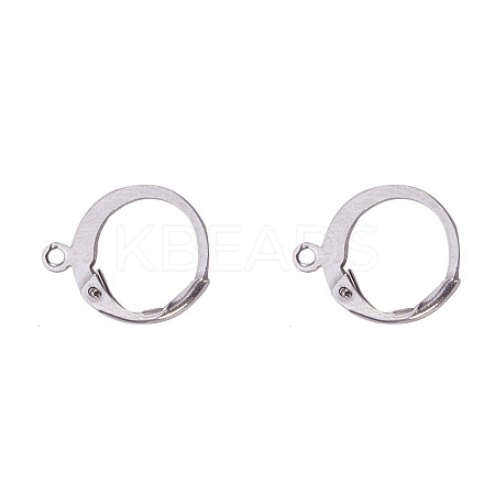 Tarnish Resistant 316L Surgical Stainless Steel Leverback Earring Findings STAS-F075-38P-1