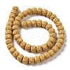 Natural Lava Rock Dyed Beads Strands G-Z036-B01-08-2