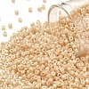 Cylinder Seed Beads SEED-H001-H11-1