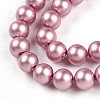 Baking Paint Pearlized Glass Pearl Bead Strands HY-N002-4mm-C01-4