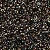 MIYUKI Round Rocailles Beads SEED-G010-RR4503-2