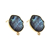 304 Stainless Steel Pave Natural Paua Shell Stud Earring Findings X-STAS-Z125-03G-2