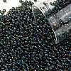 TOHO 11/0 Round Beads X-SEED-TR11-0384-1