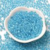Transparent Glass Round Seed Beads SEED-B001-05A-19-2