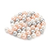 Electroplated Natural Shell Beads Strands SHEL-F008-03B-04-2