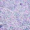 Transparent Glass Seed Beads SEED-N014-01A-03-3