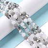 Glass Beads Strands GLAA-E036-09D-2
