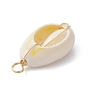 5Pcs Natural Cowrie Shell Copper Wire Wrapped Pendants PALLOY-JF02277-01A-3