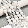 Natural White African Opal Beads Strands G-H005-C10-01-2