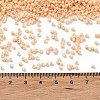 Baking Paint Glass Seed Beads SEED-S042-05B-80-4