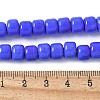 Handmade Lampwork Beads Strands LAMP-I030-02B-4