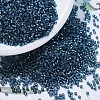 MIYUKI Delica Beads SEED-X0054-DB0608-1