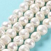 Natural Cultured Freshwater Pearl Beads Strands PEAR-E019-09-2