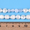 Natural Blue Lace Agate Nuggets & Natural Cultured Freshwater Pearl Beads Strands PEAR-N023-01A-04-5